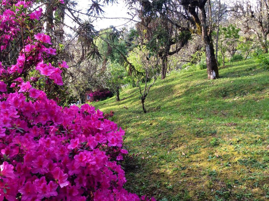 Sitio Nossa Senhora De Loreto Campos do Jordão Exteriér fotografie